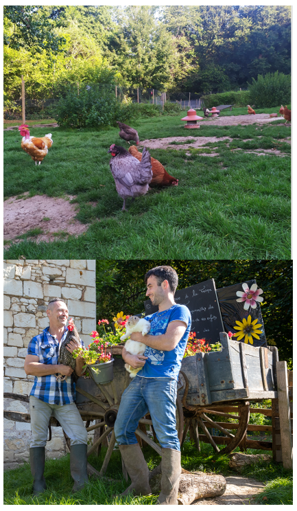 La Ferme au Bois Dormant