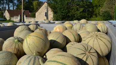 Les Beaux-Chênes (SCEA)