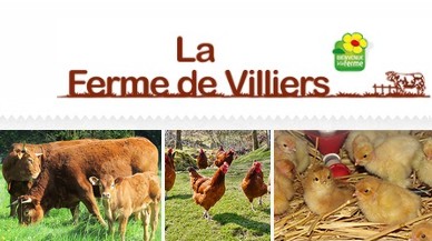 La Ferme de Villiers/Mahieu Martineau (EARL)