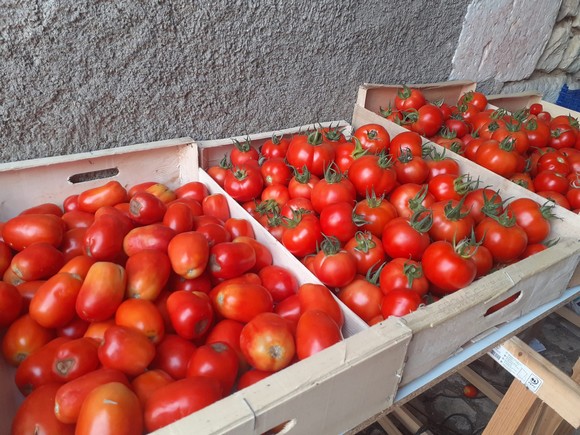 EARL La Sinsardière